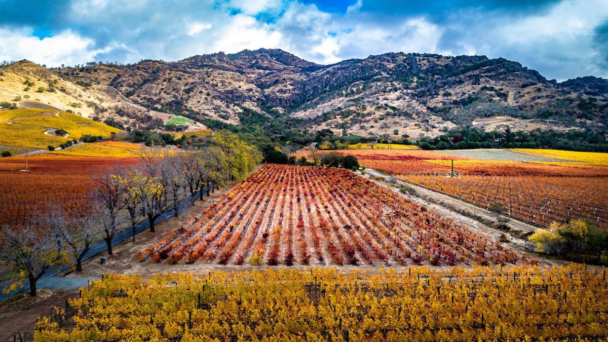 Stags’ Leap Winery