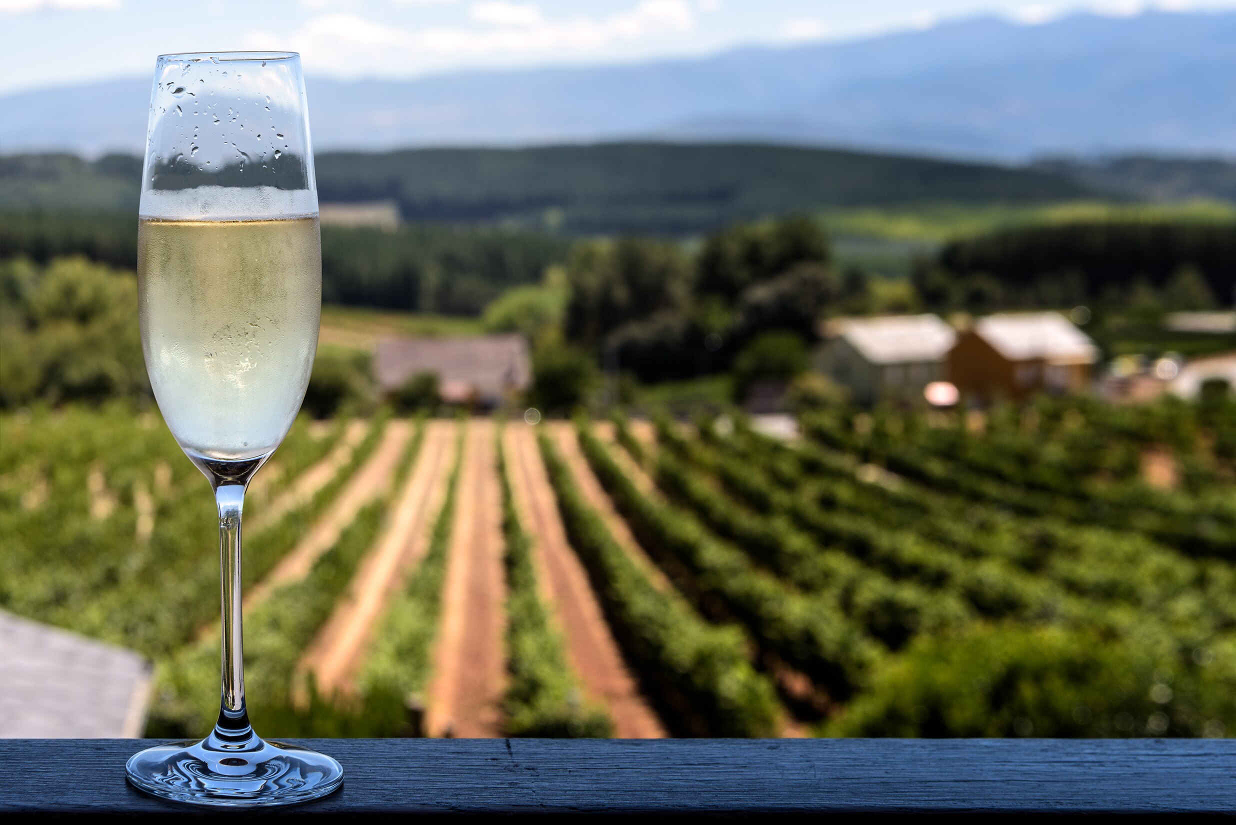 Cava with field