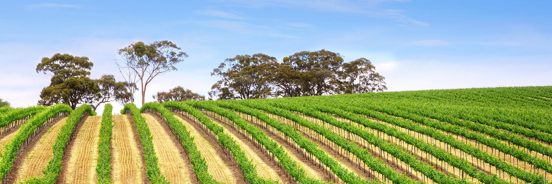 clare valley