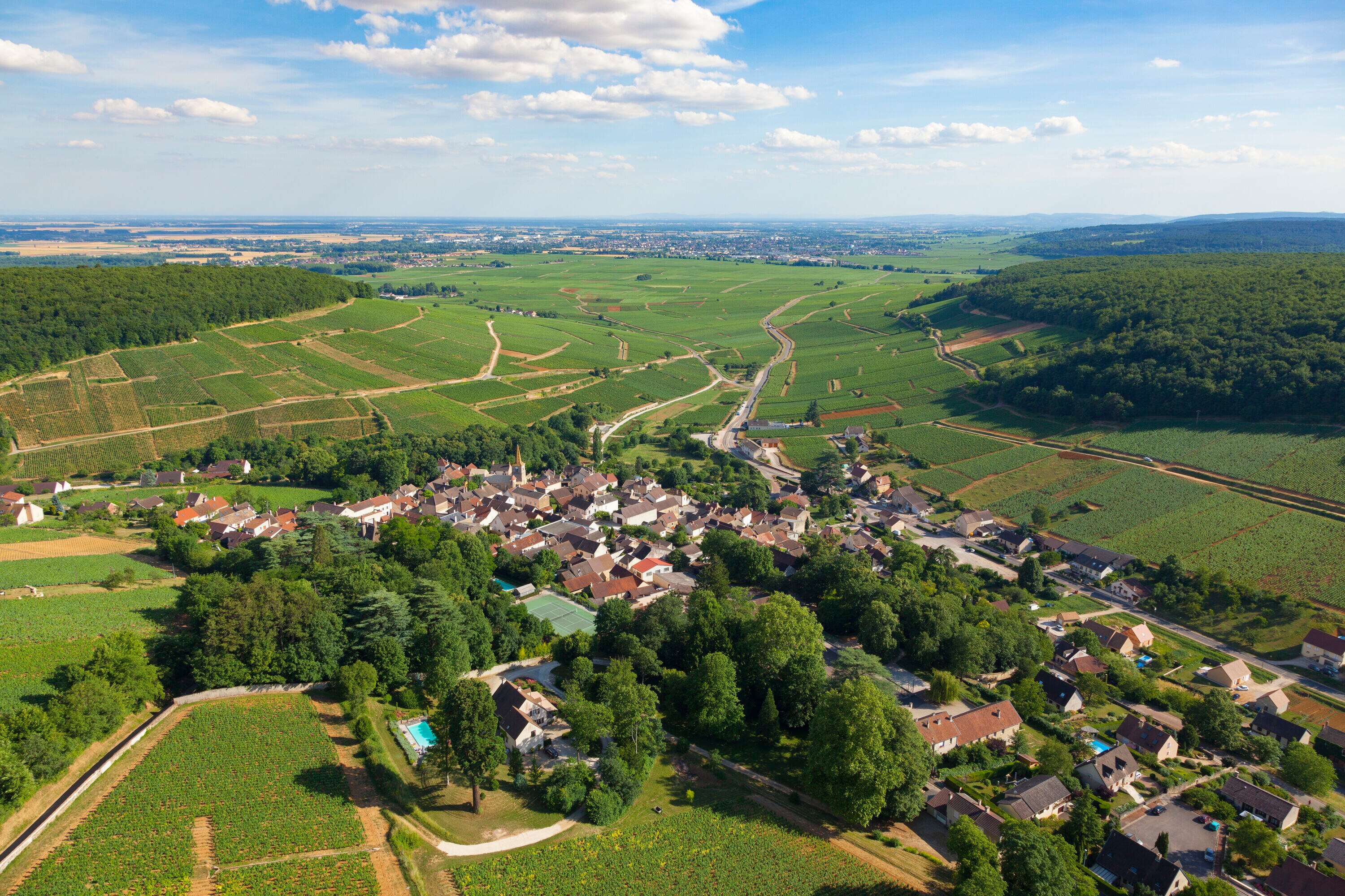 Pernand-Vergelesses_29062015_9833