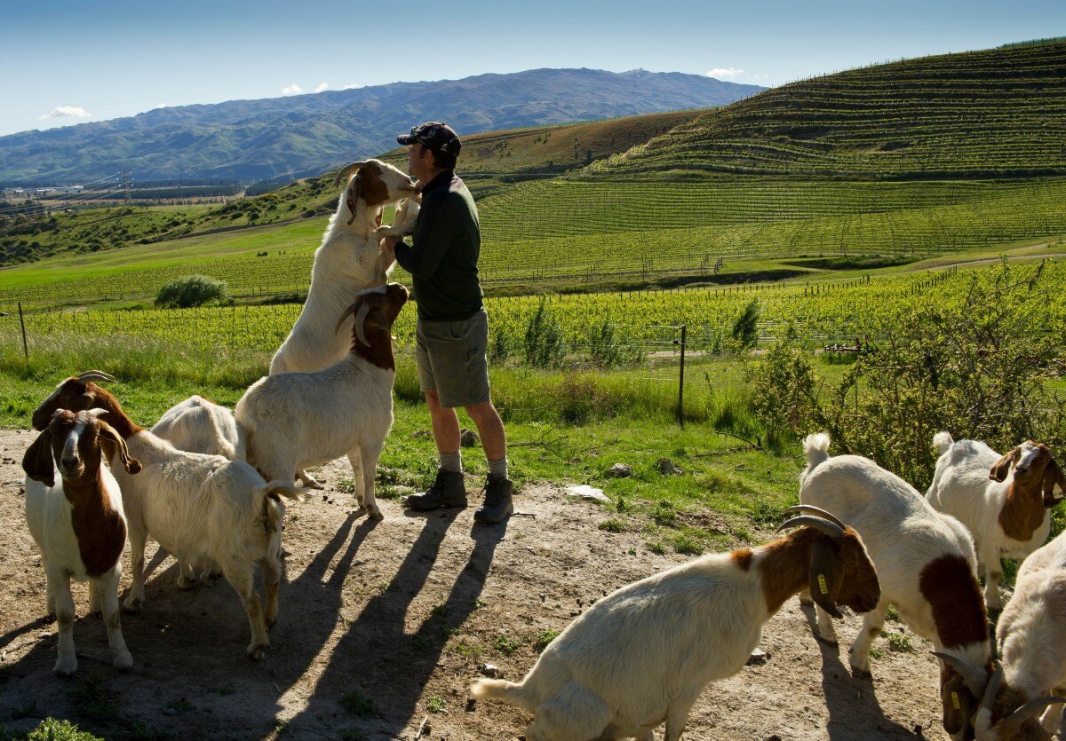 Biodynamic