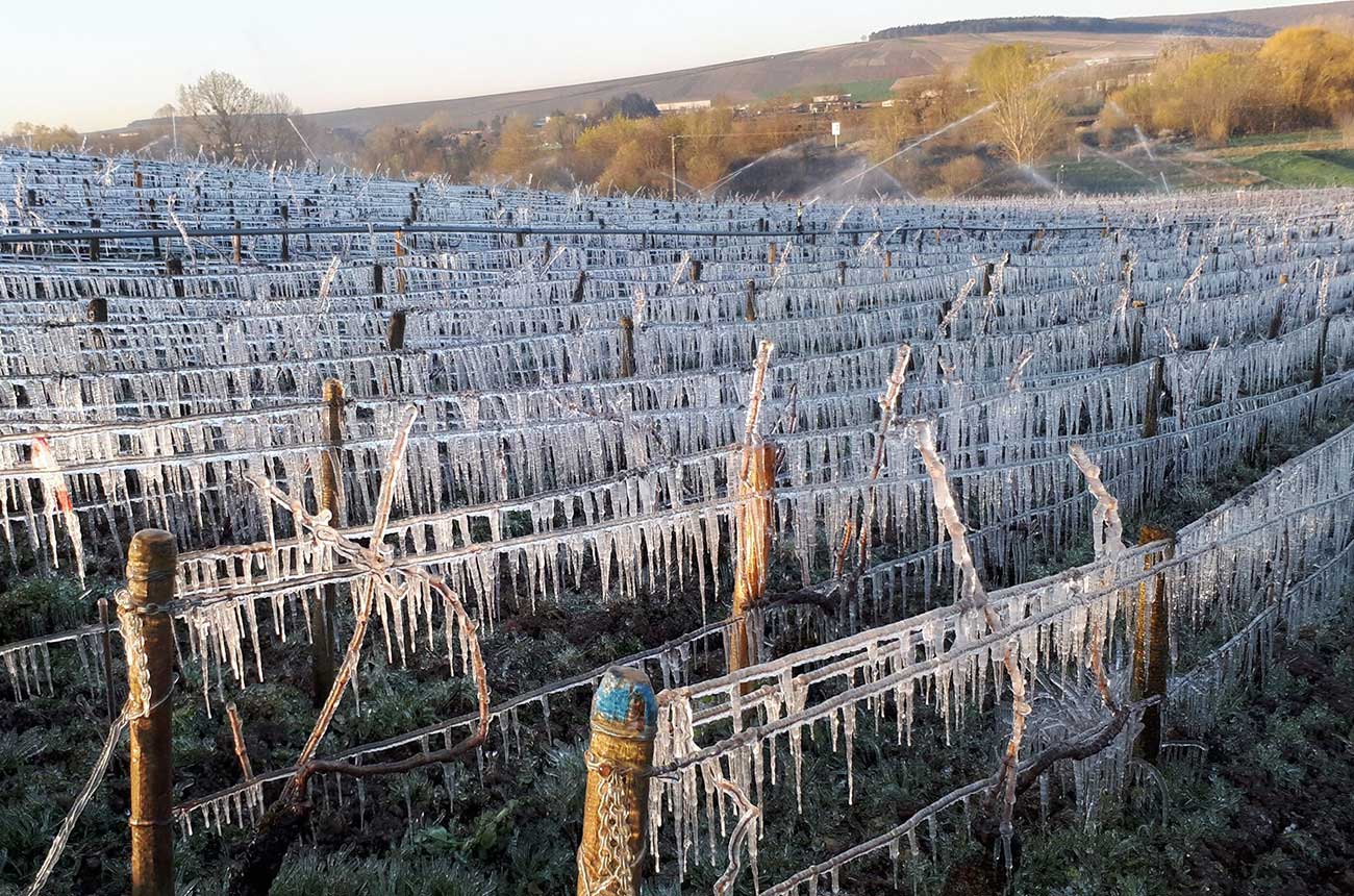 Frost