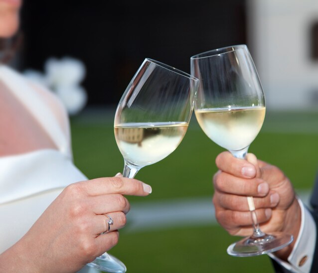 Bride and groom making a toast at sunset.