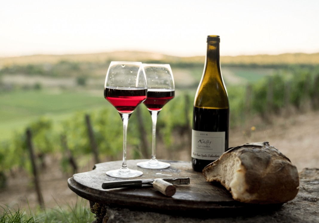 Pinot Noir