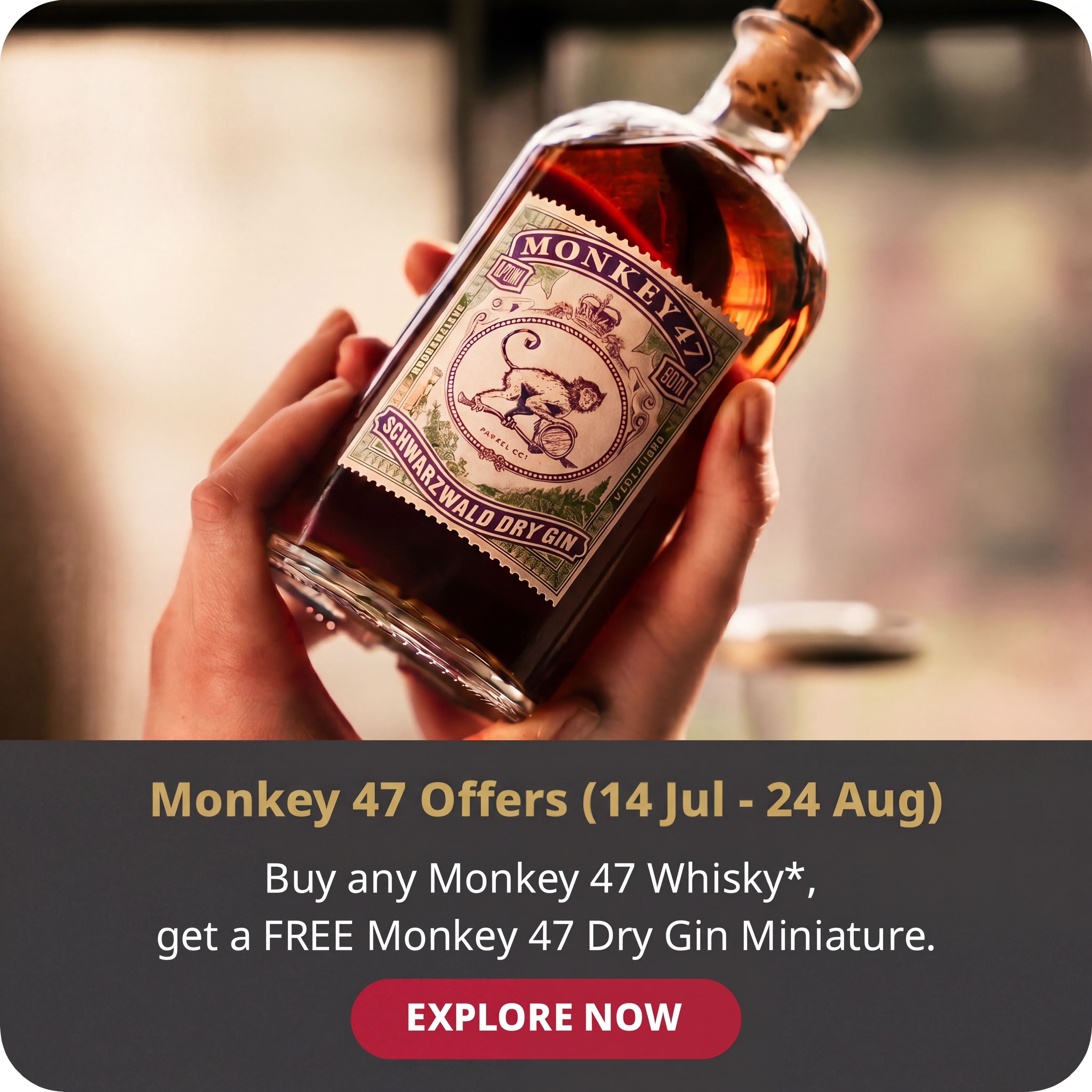 Monkey 47 - eng.jpg