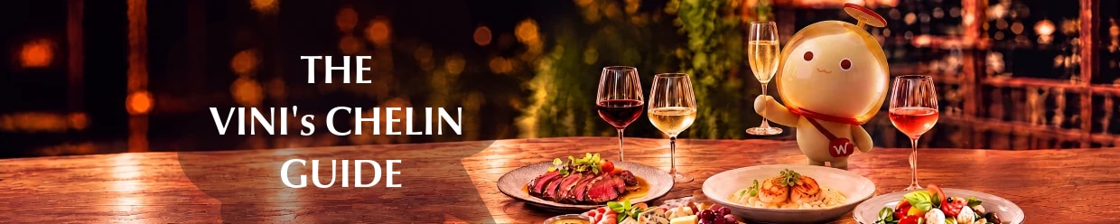 Wine and Food pairing guide image